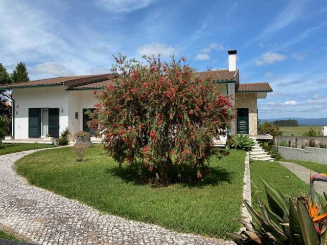 Casa Gorjao Séjour chez l'habitant Anadia